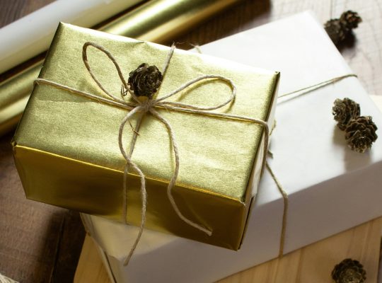 de 10 beste cadeaus voor sinterklaas en kerst 2024 horend goed