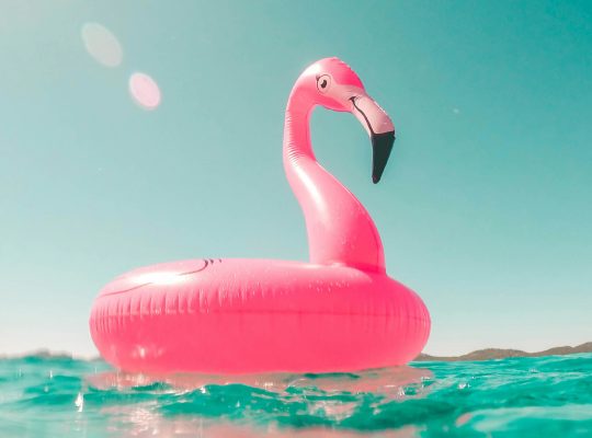 slechthorend en op vakantie gaan horend goed